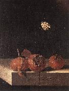 COORTE, Adriaen Three Medlars with a Butterfly zsdgf USA oil painting reproduction